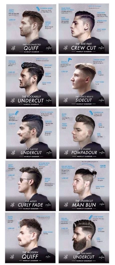 guy hair cuts|men's haircut catalog.